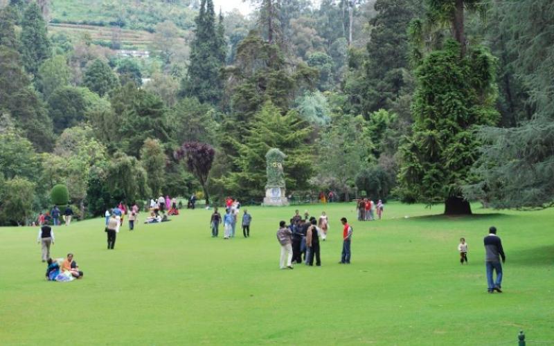 BOTANICAL GARDEN, OOTY