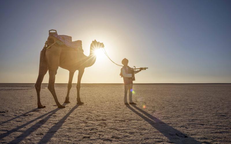 Great Rann of Kutch