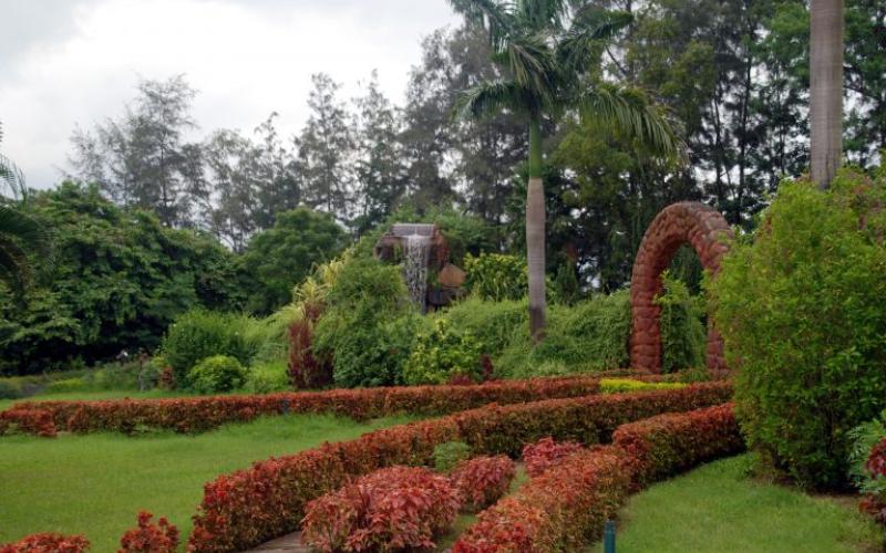 Hirwa Van Garden