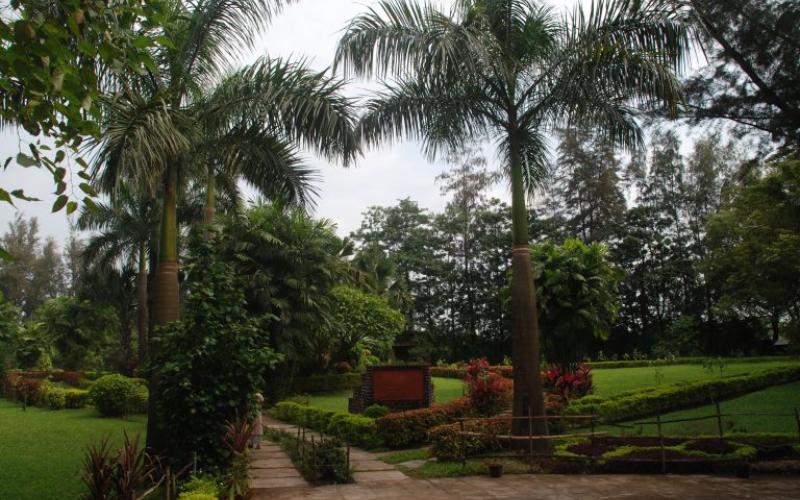 Hirwa Van Garden