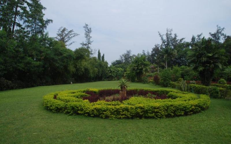 Hirwa Van Garden