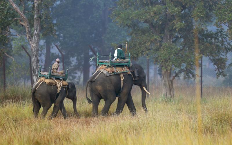 Kanha National Park