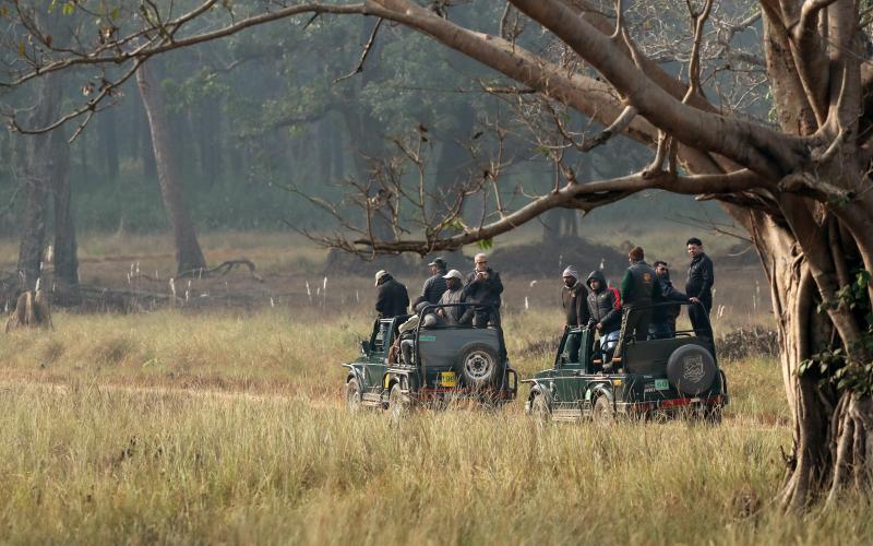 Kanha National Park