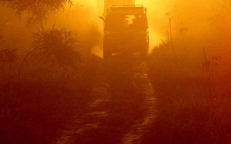 Kaziranga National Park