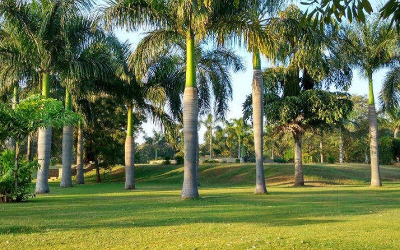 Sanjeevaiah Park, Hyderabad