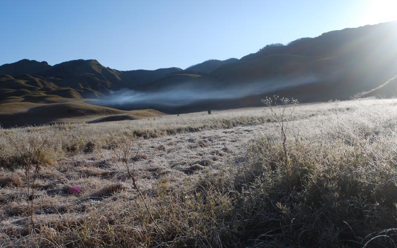 DZUKOU VALLEY