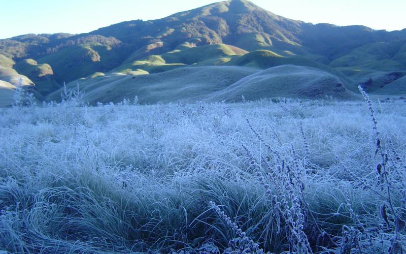 DZUKOU VALLEY