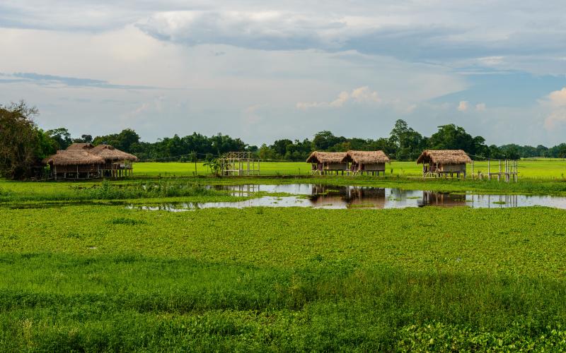 Majuli