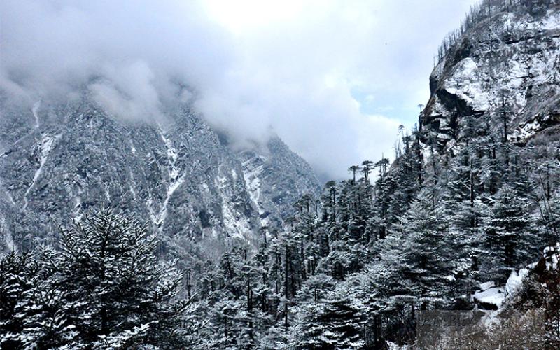 TAWANG (ARUNACHAL PRADESH)