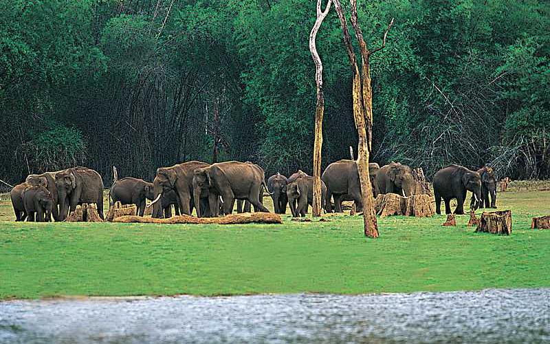 Thekkady