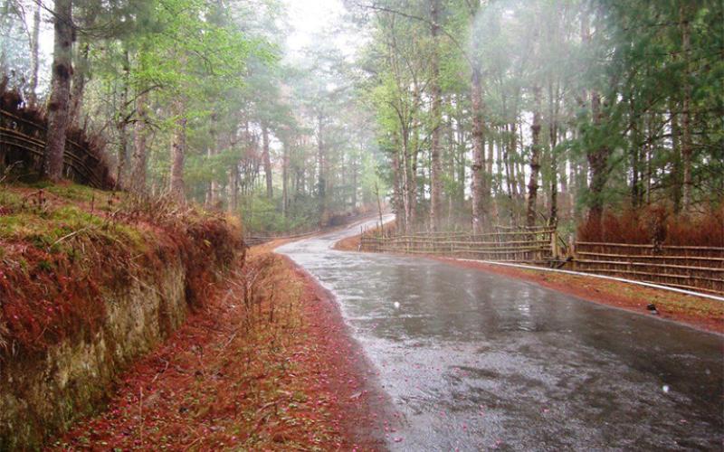 ZIRO (ARUNACHAL PRADESH)