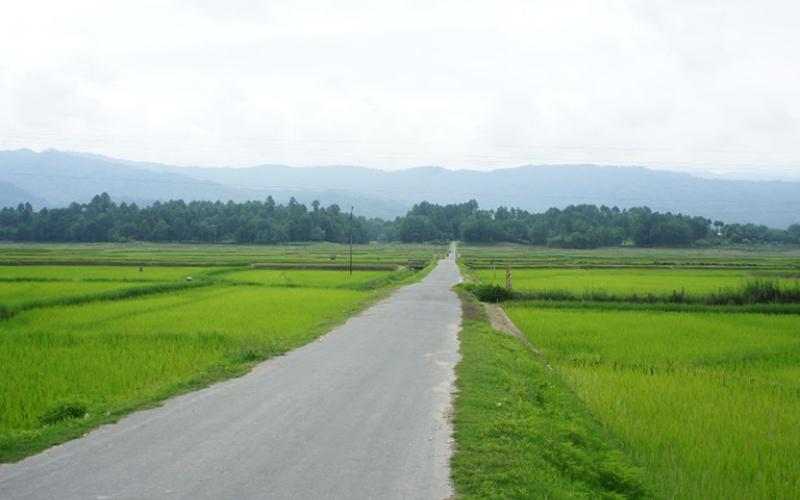 ZIRO (ARUNACHAL PRADESH)