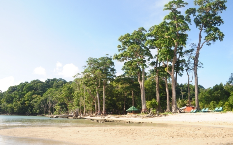 Chidiya Tapu Beach