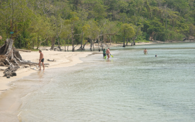 Chidiya Tapu Beach