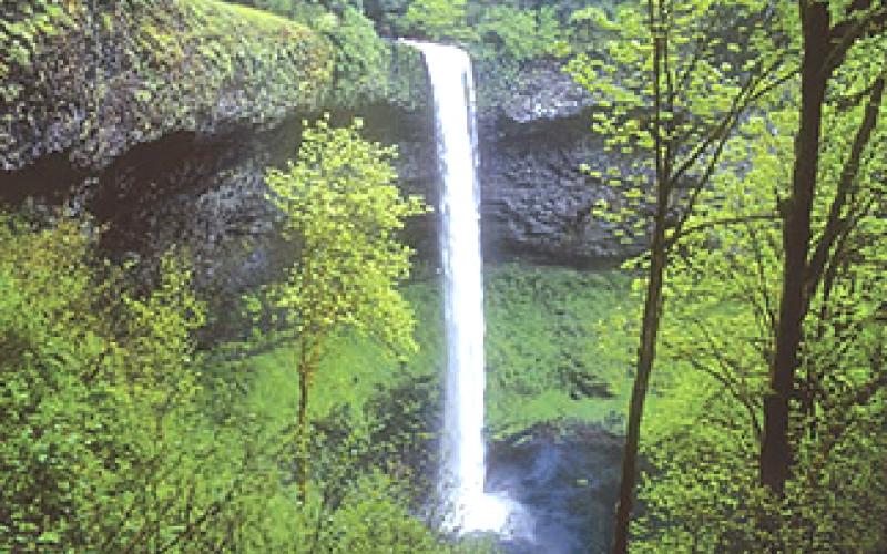 City of Water falls - Ranchi