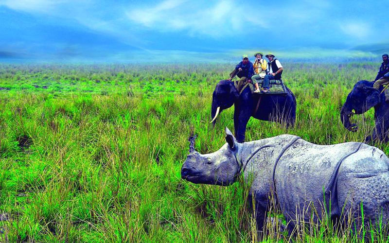 Kaziranga National Park