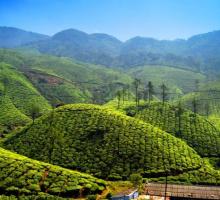 VALPARAI