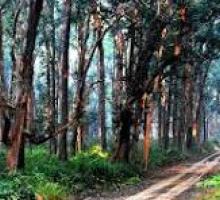 Dudhwa National Park