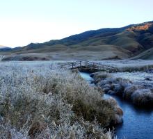 DZUKOU VALLEY