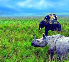 Kaziranga National Park